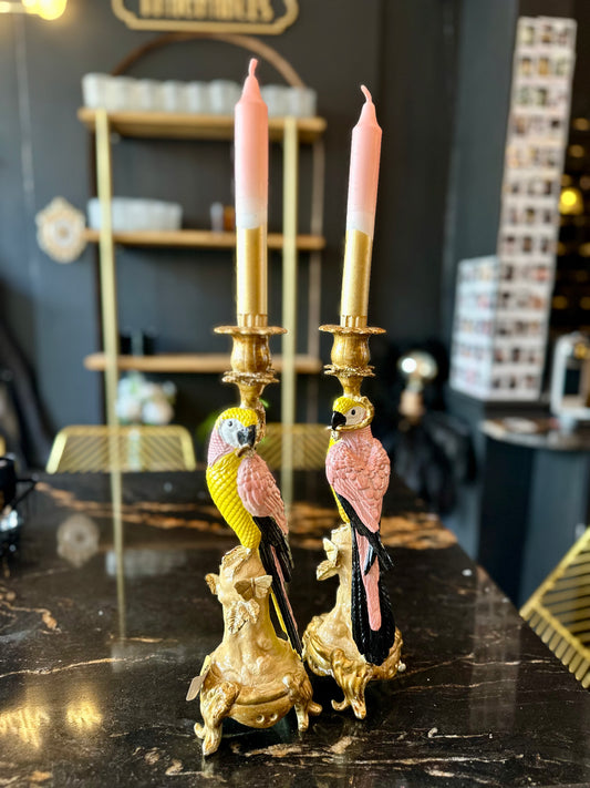 Antiqued Ornate Parrot Candle Holder